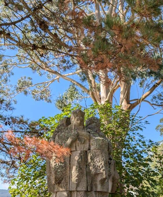 Manuel Ferreiro 0 (0)